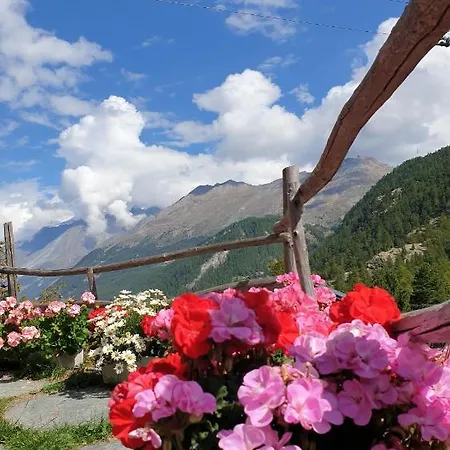 Alpstuga Samson